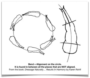 How To Bend Your Horse Correctly